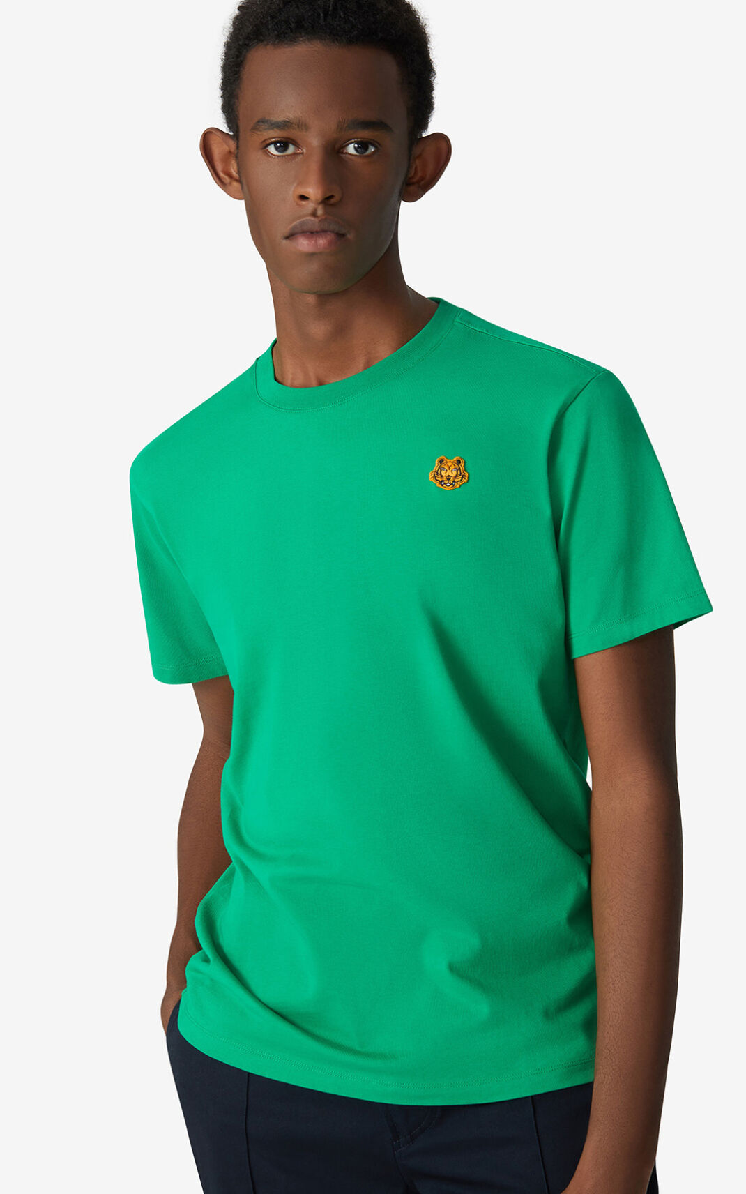 Camiseta Kenzo Tiger Crest Masculino - Verdes | 854VFYUMQ